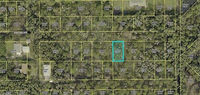 2nd image of Orange Ave