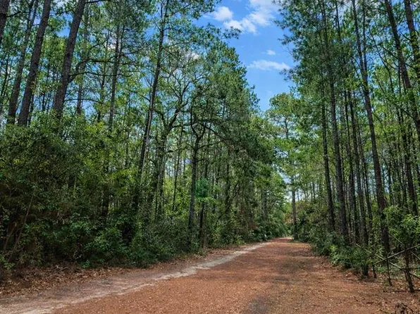 County Road 4595, Warren, TX 77664