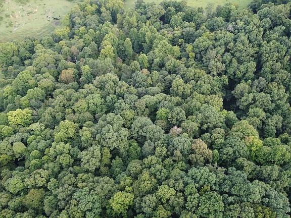 5th image of 0 Hidden Acres Rd