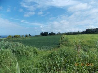 28 145th LOT B, Pepeekeo, HI 96783