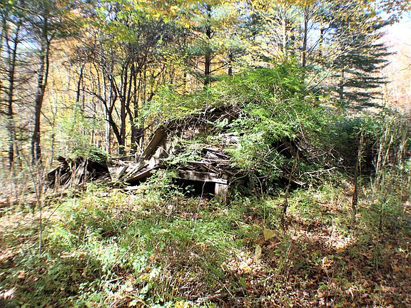 4th image of Stamping Creek