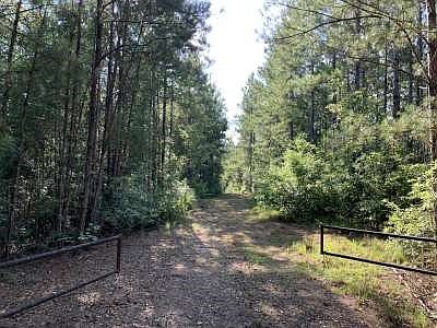 4th image of Old Highway 51 S