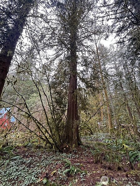 5th image of 7138 Rainier Way
