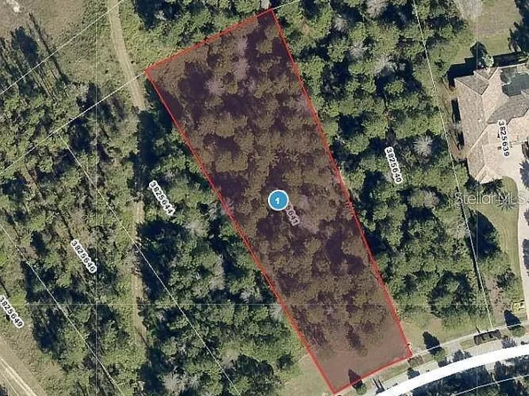 16036 Pendio Dr Lot 211, Montverde, FL 34756