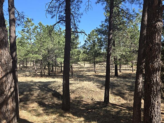 3rd image of Old Fort Stanton Rd