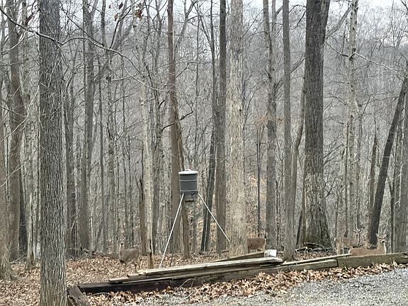 56th image of 3575 Tyree Springs Rd