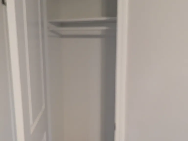 Master BR closet #2