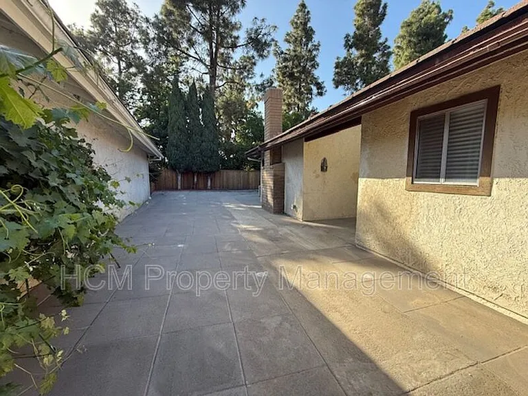 51 Sparrowhawk — Photo 3