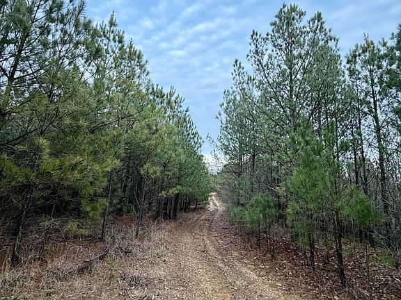 39th image of 1 Roan Creek Rd