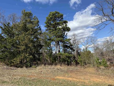 15899 Crazy Horse Dr, Lindale, TX, 75771
