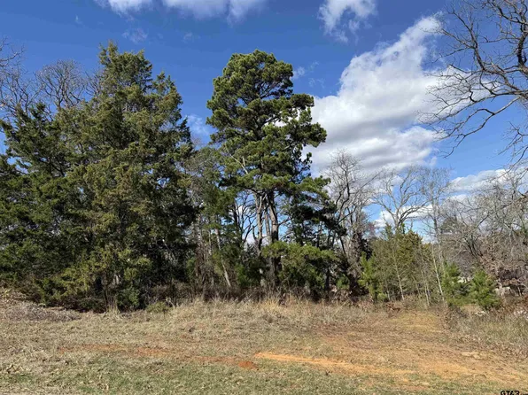 15899 Crazy Horse Dr, Lindale, TX 75771