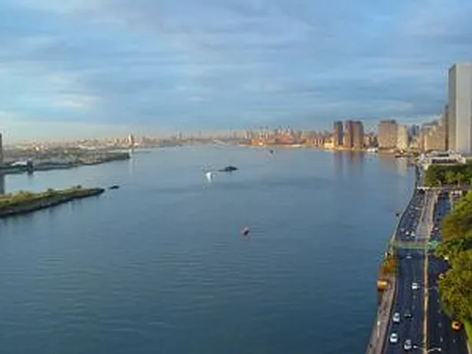 Sold by Douglas Elliman | media 9