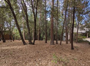 783 Larkspur Ln, Murphys, CA