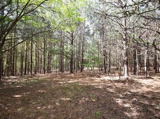 1 Mountain View Rd, Buchanan, GA 30113