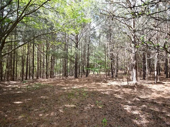 1 Mountain View Rd, Buchanan, GA 30113