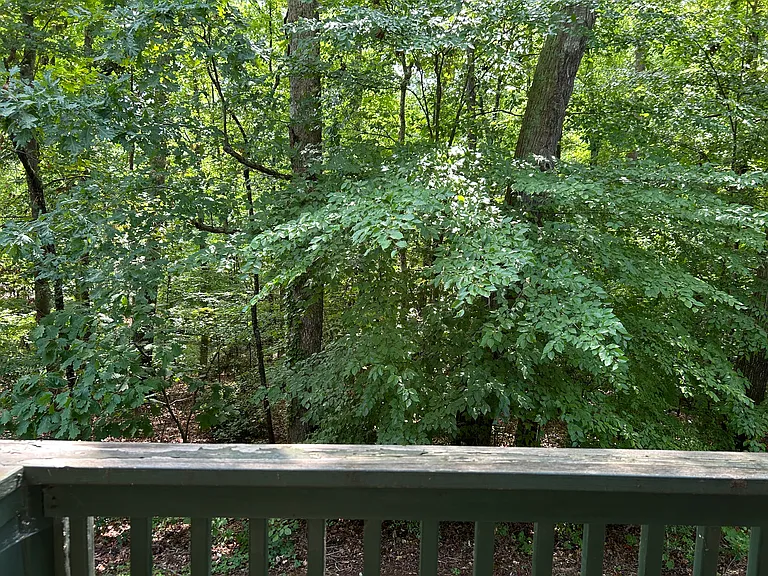 342 Ashley Forest Rd — Photo 14
