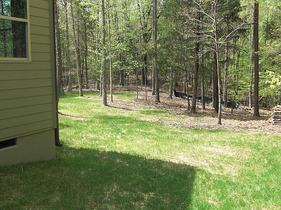 Back yard view