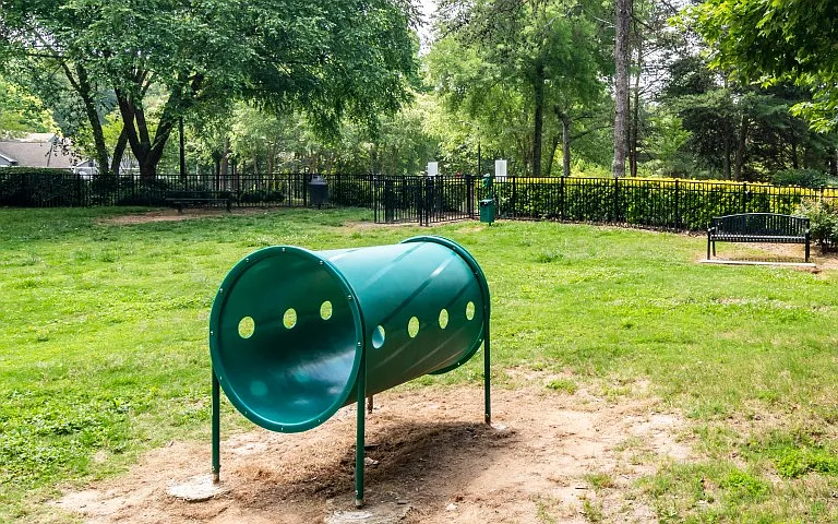 Pet Area