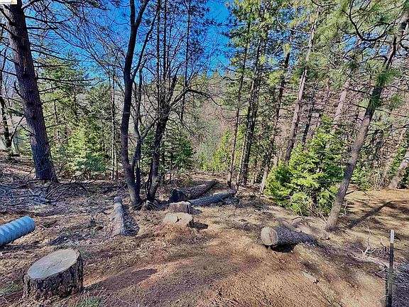 2nd image of 23956 Stable Rd