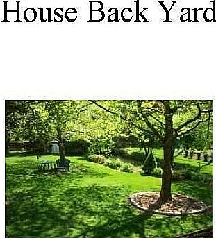 Backuard