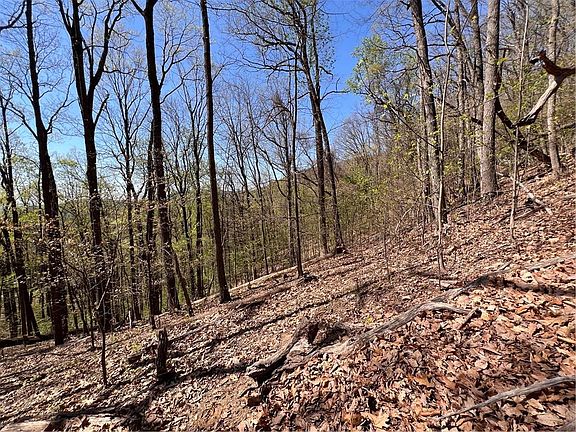 4th image of 0 Sassafras Ct #4544