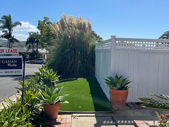 Low maintenance yard