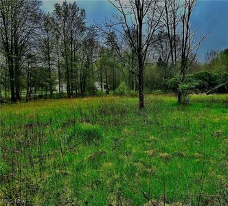 Bristol Champion Townline Rd, Warren, OH, 44481