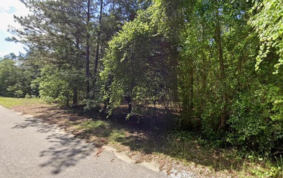2nd image of 403 Gantt St