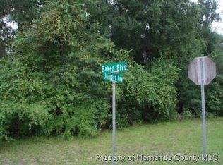 Juniper Ave, Webster, FL 33597