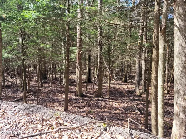 154 Forest Brook Dr #160, Flinton, PA 16640