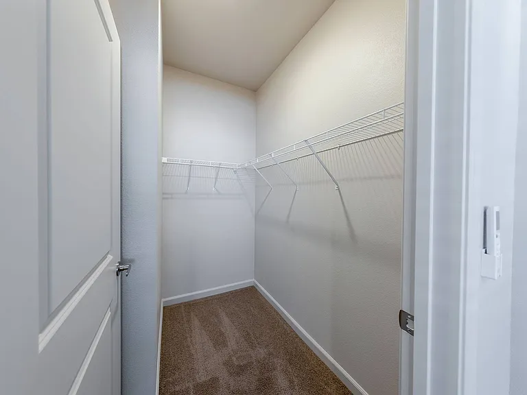 Springview by Vintage — Photo 10