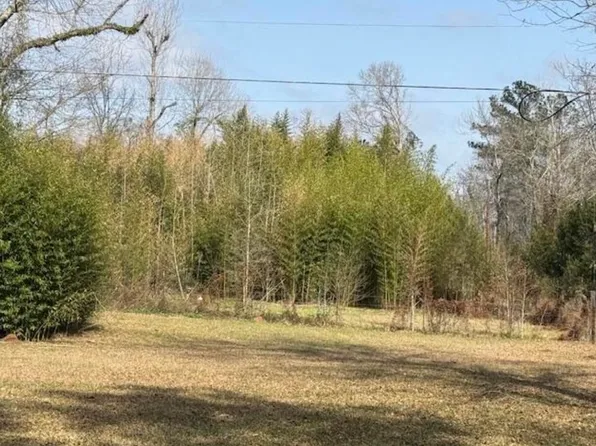 LOT 3 Highway 394, Deridder, LA 70634