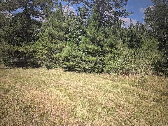 2nd image of 0 Highway 59 Loop