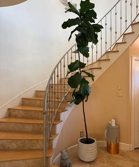 6303 Hermann Lake Dr — Photo 3