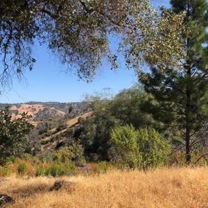 690 Ian Ct, Mokelumne Hill, CA, 95245