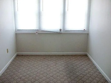 223 S 41st St — Photo 5
