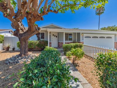 484 Patricia Ct, Milpitas, CA, 95035