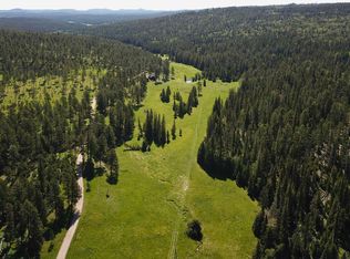 Rocky Johnson Rd LOT 3, Lead, SD 57754