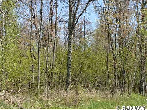 2nd image of 0 Engine Hill Road