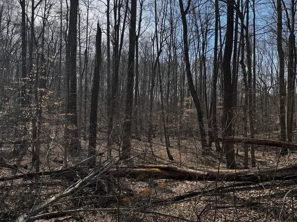 60 Spring Hill Ct, Prince Frederick, MD 20678