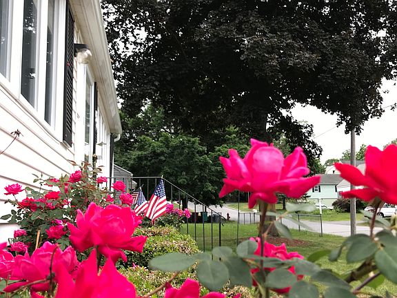 Gorgeous landscaping. 