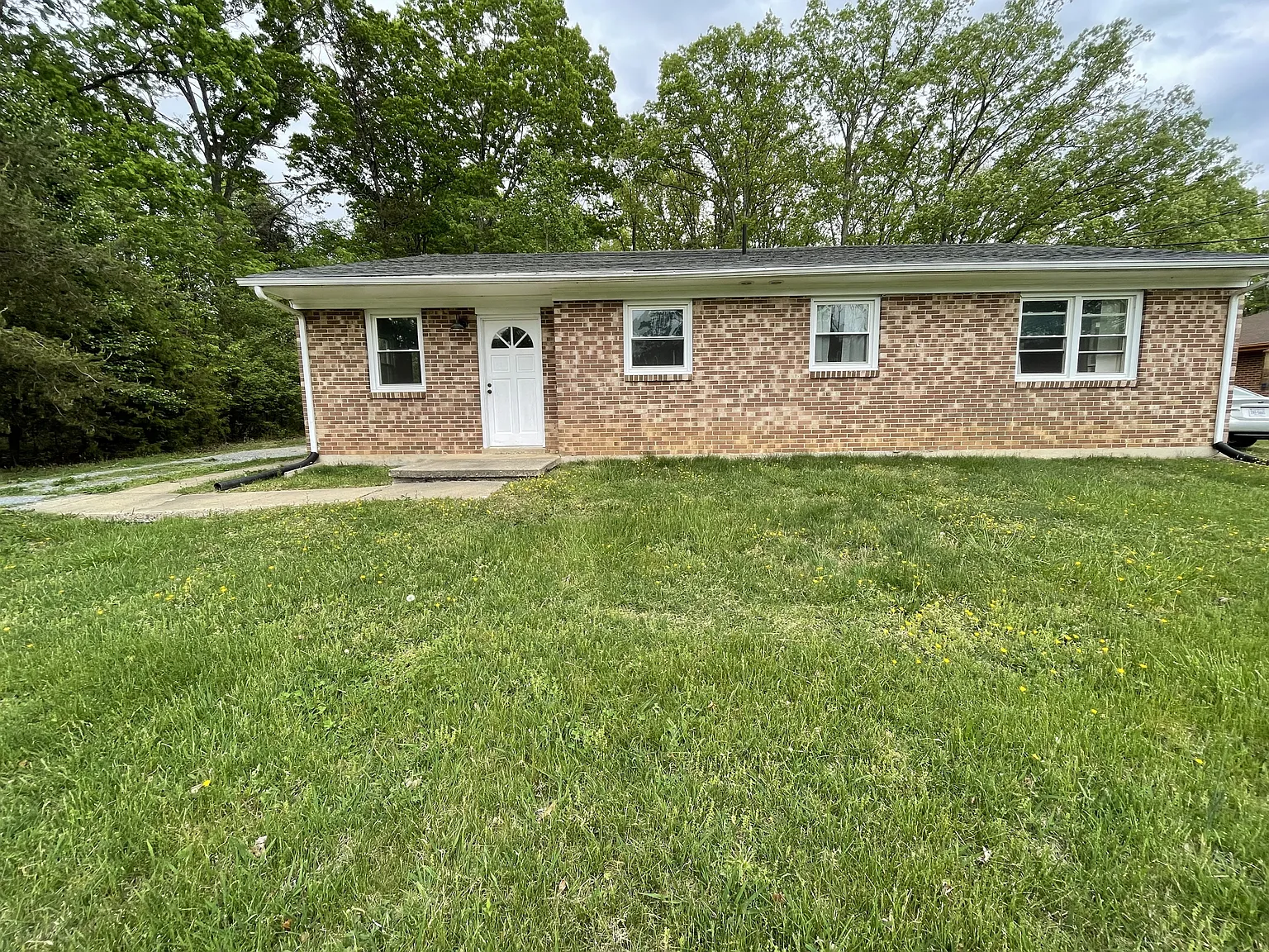 305 George Street - B — Photo 1