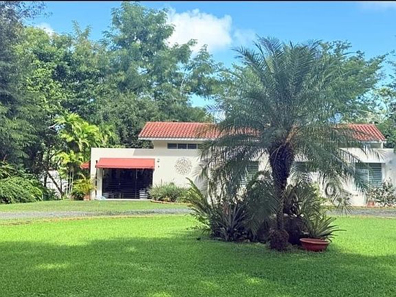 3rd image of 177 Vanda