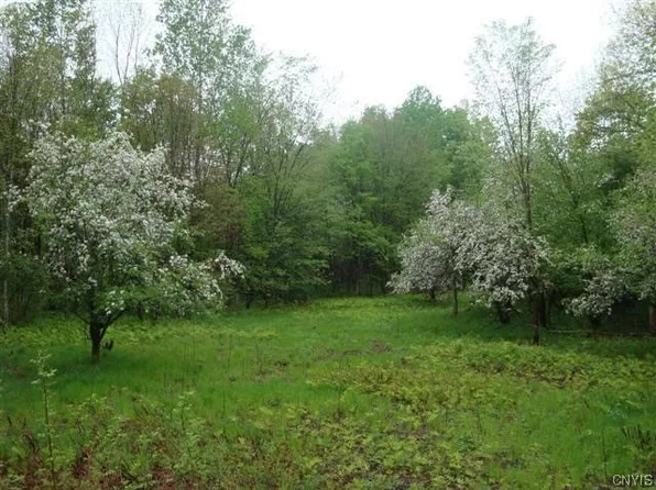0 County Route 22 #31, Altmar, NY 13302