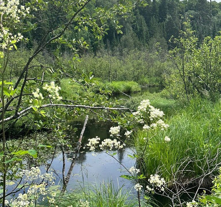 1st image of 0 Contau Lake Rd Lot 6