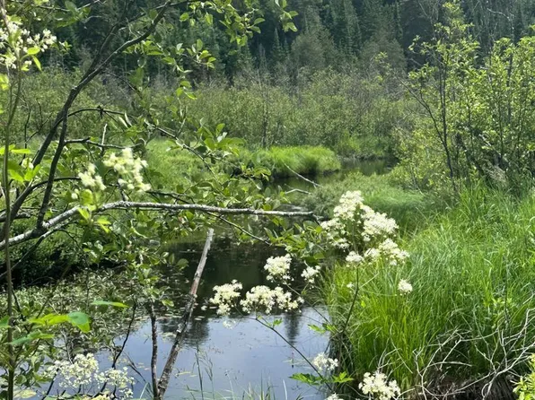 0 Contau Lake Rd Lot 6, Highlands East, ON K0M 1R0