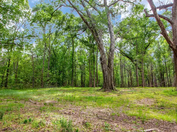 Sf 6 La Hwy #16, Denham Springs, LA 70706