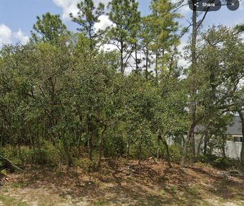 LOT 2 SW 144th Ln Lot 2, Ocala, FL, 34473