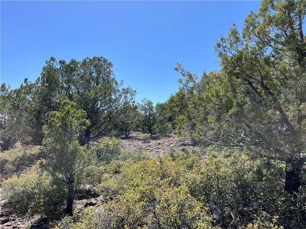 243 N Kit Fox Trl, Kingman, AZ 86401