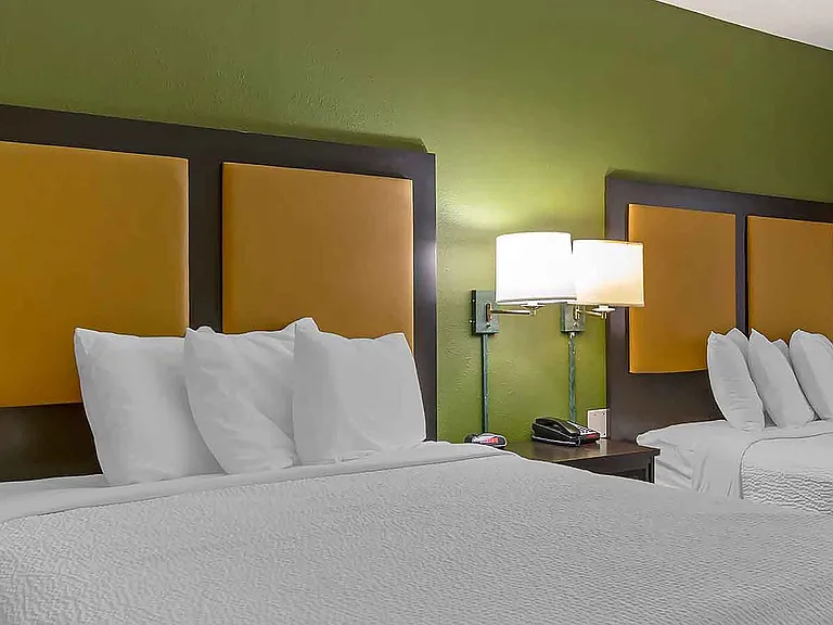 Studio Suite - 2 Full Beds